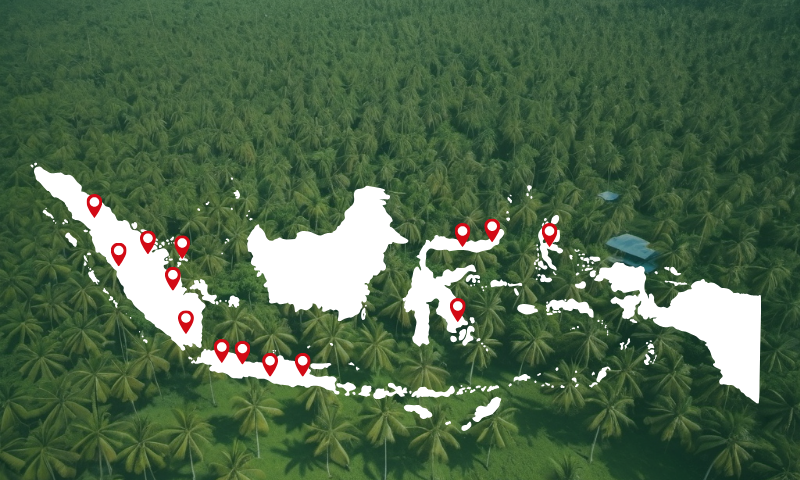 hipki cocofiber coir 500x250