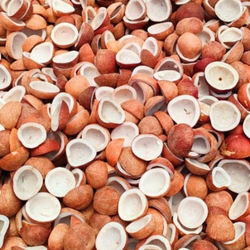 ediblewhitecopra 250x250